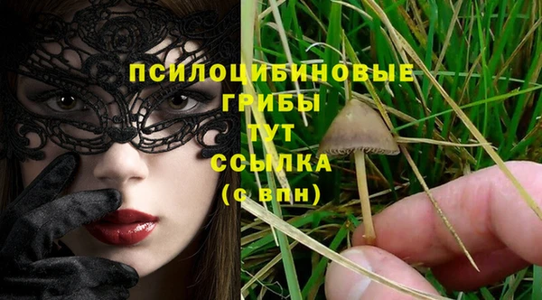 стаф Лабытнанги