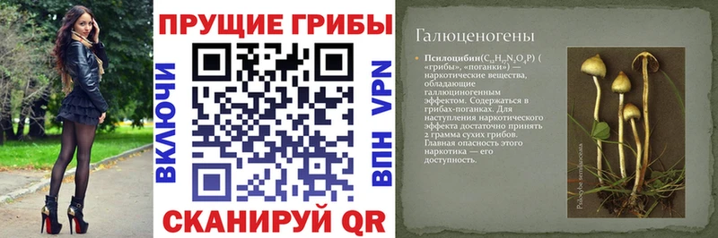 Галлюциногенные грибы прущие грибы  mega ссылка  Спас-Клепики 
